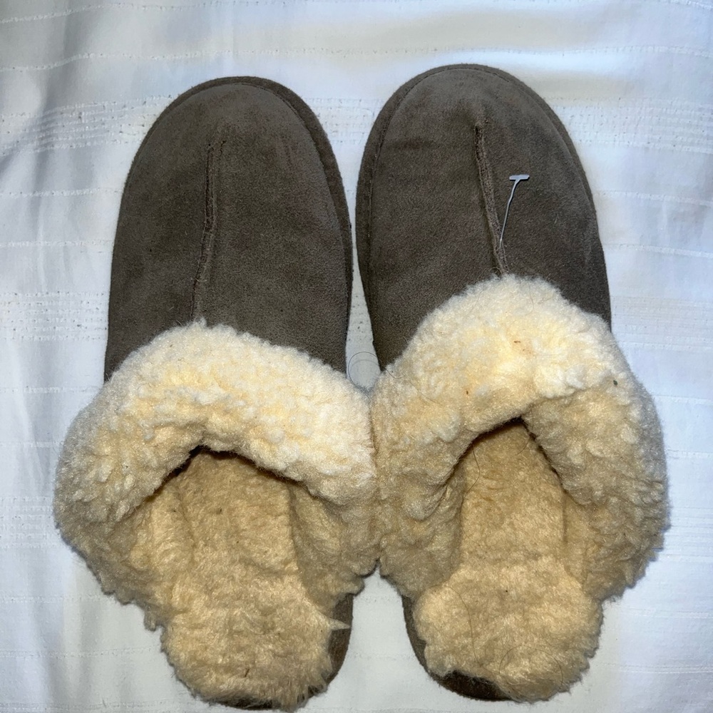 Bearclaw slides
